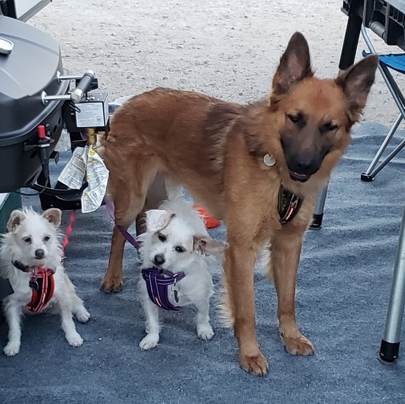 Meet your Posher, Kristine - Picture 7 of 8